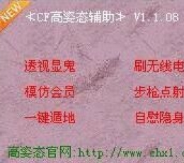 CF高姿态辅助 V1.1.09 绿色免费版