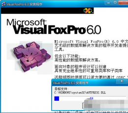 visual foxpro 6.0