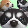 可爱的口袋小狗3D V1.0.5.7 安卓版