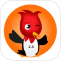 ͨ V3.1.0 ios