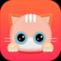 奇喵背词 V1.2.3 安卓版