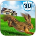 宠物兔VS狗攻击3D V1.0.3 安卓版