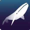 Abyssrium V1.1.0 安卓版