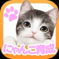 掌上猫咪 V1.0.4 安卓版