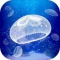 治愈系水母养成游戏 V1.1 安卓版