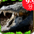 鳄鱼模拟器3D V7.2.15 安卓版