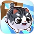 盒子里的猫2 V1.0.16 免费版