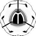 狗万 V0.0.5 安卓版