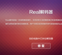 real decoder专业版 V2.0.2