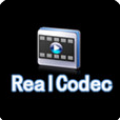 RealCodec °