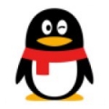 手机qq V2.3 安卓版