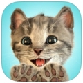 我最爱的猫猫 V1.7 iOS版