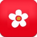 布米米 V4.2 免费版