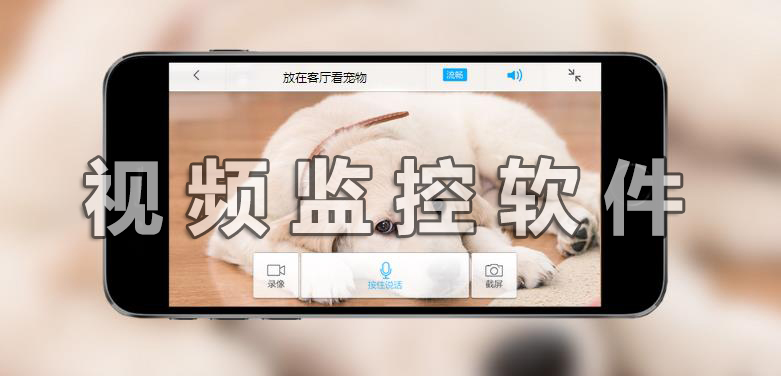 视频监控软件
