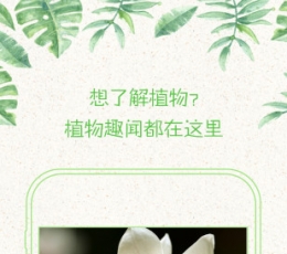 形色 V3.4 