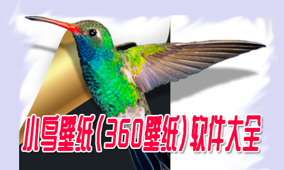 小鸟壁纸
