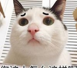我要买这个你给我买这个表情包