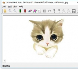 InstantMask Pro(图片去背景软件) V3.0 中文汉化版