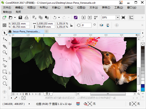 CorelDRAW 2017矢量绘图软件 V19.1.0.419 最新版
