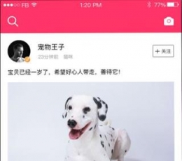 养养宠物 V1.0 最新版