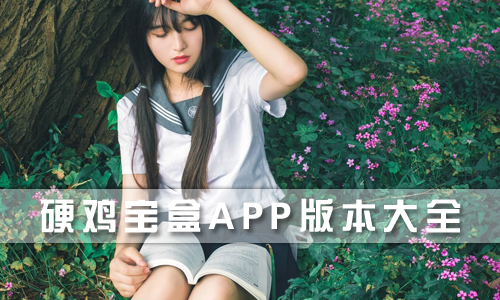 硬鸡宝盒