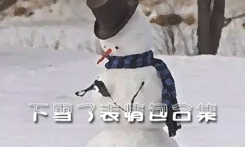 下雪了表情包