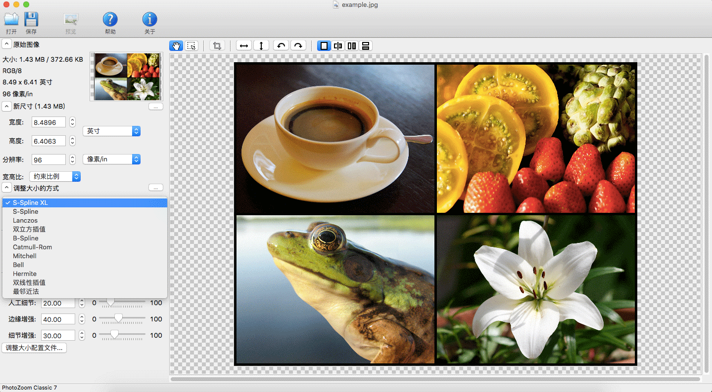 PhotoZoom Classic V7.1.0 Mac版