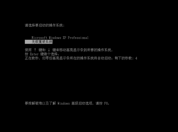 无极重装系统 v2008 