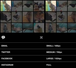 VSCO相机 v1.2 安卓版