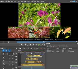 EDIUS 8 V8.0 完整版