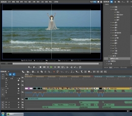 EDIUS Pro 8 