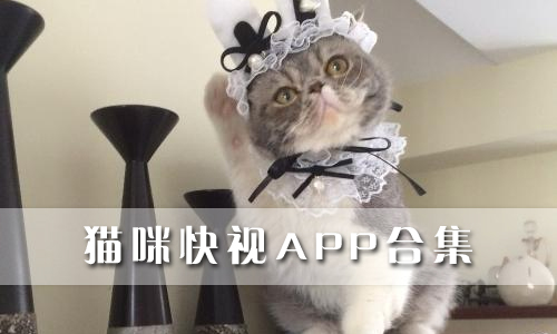 【猫咪快视】猫咪快视app官方下载|猫咪快视最