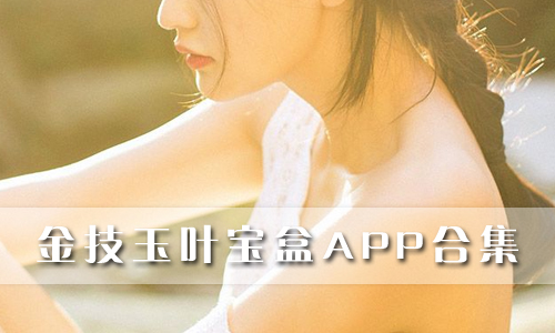金技玉叶宝盒
