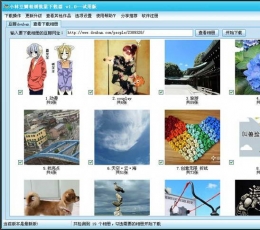 小林豆瓣相册批量下载器 V1.9 绿色版