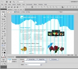 Fireworks CS6 简体中文免费版