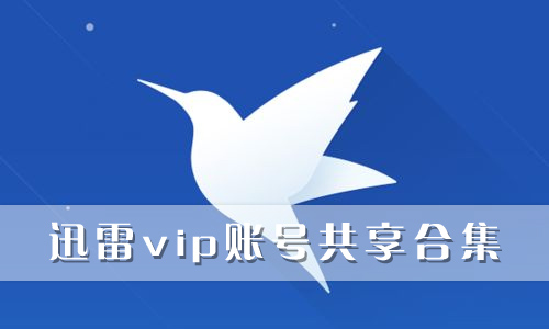 迅雷vip账号共享
