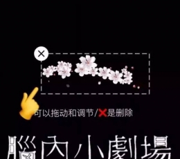 ALIVE视频编辑器 V9.5 安卓版