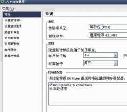 DU Meter网络流量监视器 V7.24 中文版