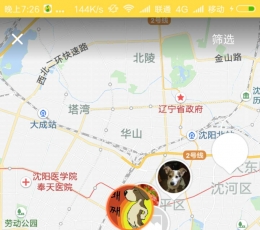 宠物领养 V1.1.26 安卓版