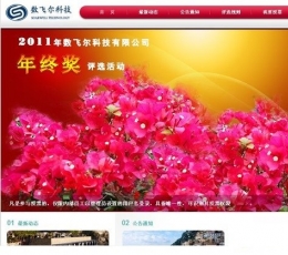 数飞网络投票评选系统 V6.0.5 