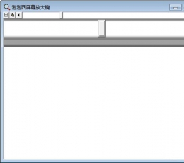 泡泡西屏幕放大镜 V1.0 免费版