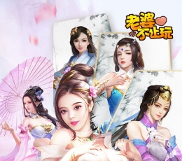 老婆不让玩 V1.0 满V版