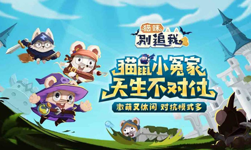 猫咪别追我