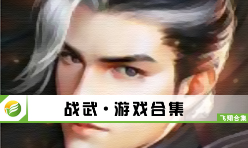 战武