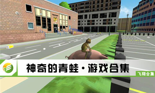 神奇的青蛙