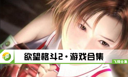 欲望格斗2