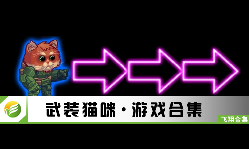 武装猫咪
