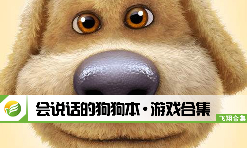 会说话的狗狗本