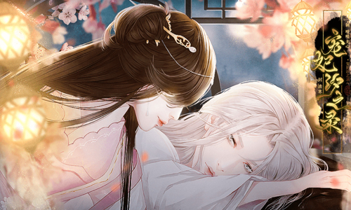 宠妃汐之录