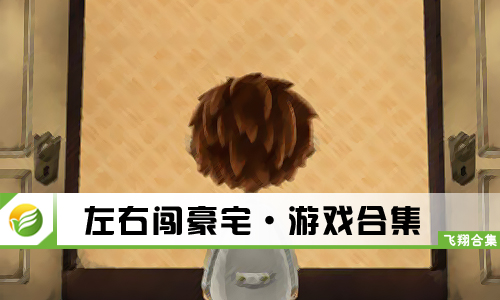 左右闯豪宅